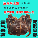 顺丰包邮 活冻帝王蟹3-4斤 鲜活海鲜 鲜冻皇帝蟹 大螃蟹 250克