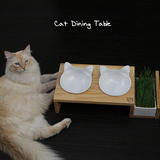 ViviPet实木碗架餐桌 猫狗碗盆 宠物陶瓷碗双碗猫草碗水碗斜口碗