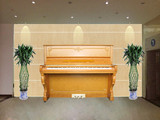 韩国原装二手钢琴英昌U121Fbx近代高端演奏钢琴顶配99成新音色好