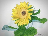 向日葵水彩画原作 100%纯手绘 植物花卉家居装饰画【木子小鱼】