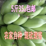 湛江米蕉 新鲜水果粉蕉 小米蕉 香蕉 芭蕉非海南皇帝蕉5斤包邮