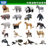 多美安利亚仿真动物玩具海洋世界犀牛狮子大熊猫takara tomy正品