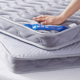 冬季加厚海绵床垫床褥子可折叠双人1.5m 1.8m床超厚软保暖榻榻米