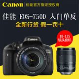 Canon/佳能 EOS750D套机18-135 STM 入门级单反数码相机 全新行货