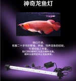 仟湖卡士佳鱼可LED潜水灯水族箱鱼缸龙鱼血鹦鹉粉红黄光