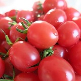 新鲜水果海南特产千禧圣女果樱桃小西红柿小番茄凉拌沙拉必备