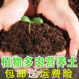 多肉土专用营养土大包种花土种植土养花有机土泥土泥炭种菜土包邮