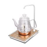 奥杨 二合一智能自动加水电热玻璃养生壶 上水电热水壶花茶茶艺炉