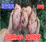 2016新鲜小地瓜 大红薯 红皮黄瓤 山芋 红苕 紫薯地瓜包邮