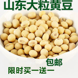 【天天特价】农家有机大黄豆500克自种打豆浆豆专用大豆非转基因