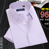 夏季男士短袖衬衫薄款 中年商务休闲紫色条纹衬衣全棉格子爸爸装