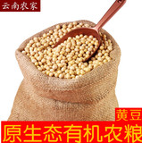 云南农家 云南农家自种自产干货特产黄豆 无添加剂黄豆 原汁豆浆