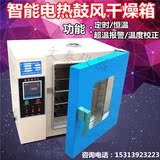 电热鼓风恒温干燥箱202101烘箱工业烤箱实验室烘干箱汽车大灯烤箱