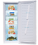 德国家用单门 全冷冻小型冰柜 立式商用冷柜抽屉式家用冰柜包邮