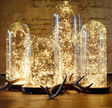 玻璃罩实木台灯复古温馨节日灯 LED个性创意酒吧台咖啡店装饰台灯