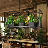 美式田园植物花草吊灯创意咖啡厅餐厅酒吧台服装店个性艺术装饰灯