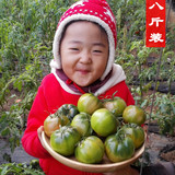 【名堂尚品】草莓柿子秒圣女果番茄绿腚新鲜水果小西红柿8斤包邮