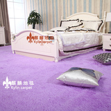 2016化纤家用卫浴卧室客厅床边定制特价房间现代绒毛地毯C000028