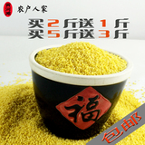 黄小米2015新米 农家自产五谷杂粮食小米粥月子米小黄米500g包邮