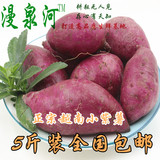 5斤装正宗越南进口新鲜小紫薯紫薯紫地瓜芋头粉糯香甜 包邮蔬菜