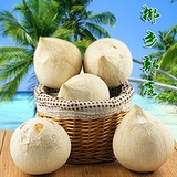 免邮费发快递 海南椰子特产热带新鲜椰子椰青去皮椰子毛椰子共6个
