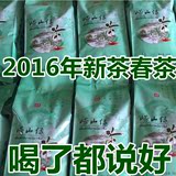 正宗崂山绿茶2016年新茶叶豆香春茶大田茶500克袋装包邮