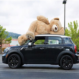 超级美国大熊超大号毛绒玩具巨型泰迪熊布娃娃公仔抱熊生日礼物女