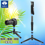 思锐独脚架P224S 摄影摄像单反相机 便携碳纤维独角架支架 三脚架