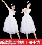 2016新款芭蕾舞裙成人芭蕾练功服蓬蓬裙纱裙舞蹈舞台装天鹅湖表演