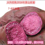2016农家自种新鲜紫薯 番薯 小紫薯 地瓜 有机紫薯 五斤包邮