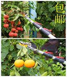 摘果剪高枝剪台湾5米4米3米伸缩剪采果器高空高枝锯金水城送剪刀
