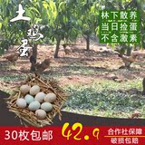 【天天特价】 农家散养土鸡蛋30枚 林地养殖柴鸡蛋 孕妇宝宝月子