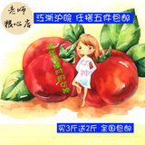 【老师粮心店】新鲜农家西红柿番茄绿色有机蔬菜配送洋柿子纯天然