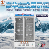 穗凌 LG4-488M2F 大冰柜 商用立式冷藏玻璃展示 双门冷柜 陈列柜