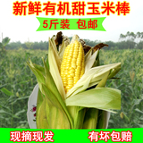 广东特产新鲜甜玉米棒 糯玉米农家自种新鲜有机水果玉米5斤装包邮