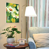特价包邮diy数字油画植物花卉菊花客厅装饰画 风中的雅菊 40 50