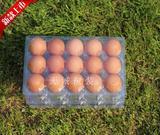 【现货款】15枚装土鸡蛋野鸡蛋柴鸡蛋包装盒塑料吸塑蛋托鸡蛋托盘