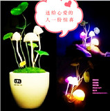 包邮特价陶瓷蘑菇灯LED光控七彩感应LED蘑菇小夜灯床头灯包邮