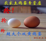 农家散养超大个“双黄鸽子蛋”臻品鸽蛋/孕婴滋补/极珍贵/大特价