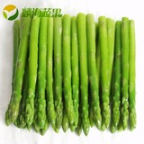 麟海蔬果 杭州同城配送 新鲜蔬菜绿色无公害绿 芦笋 青笋 500克