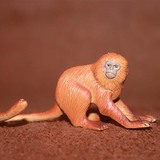 safari 正品仿真动物模型玩具 野生动物 金毛绒猴 金丝猴 猴子
