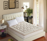 特价包邮 珊瑚绒加厚床垫 单人双人保暖床褥子垫被1米2 1米5 1米8