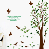 【天天特价】绿树叶小鸟卧室电视沙发背景墙贴纸创意风景装饰贴画