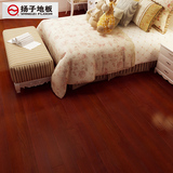 扬子地板 纯天然实木复合地板环保木地板厂家直销 地暖YGY967
