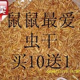 广东5元不限重/超大超肥 优质面包虫干 散装50g 仓鼠零食/超特价