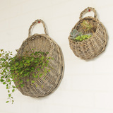【挂墙篮】插花花器 适合绿萝吊兰等垂叶形植物的花盆 可壁挂