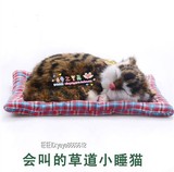 仿真小睡猫假动物标本会叫的猫咪模型毛绒玩具创意生日礼物装饰品