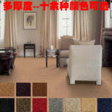 特价纯色办公室宾馆加厚素色工程地毯满铺批发弯头纱加密简约地毯