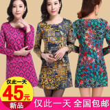 2014春装新款连衣裙 韩版中老年长款中年裙女妈妈装打底裙子大码