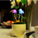 夜灯桌面小台灯创意家居灯饰生日礼物光控阿凡达蘑菇灯陶瓷花盆小